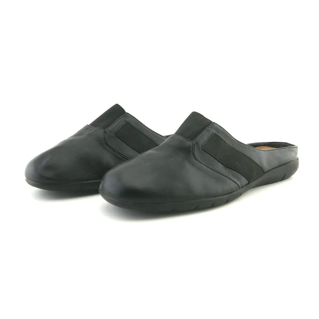COMFORTVIEW SARAH Japan Neat