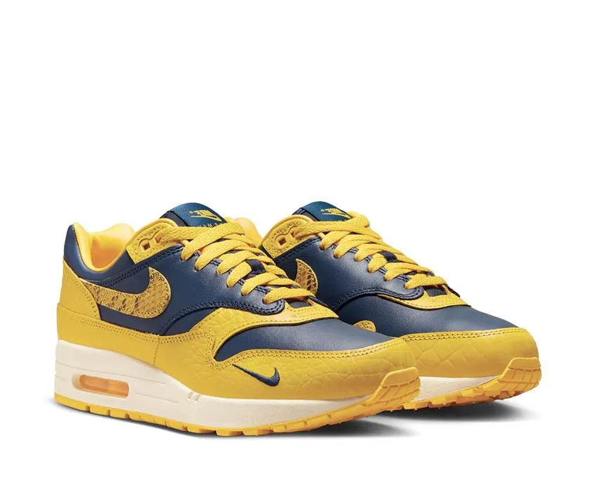 Drop Hike Nike Air Max 1 Prm W