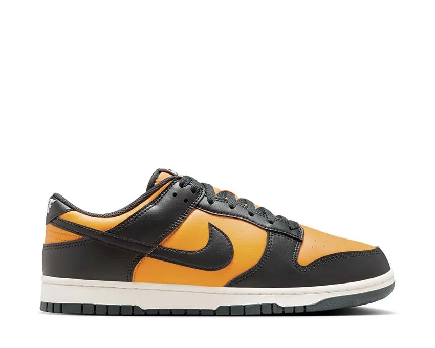 Nike Dunk Low Retro Cool Fit Urban Goer