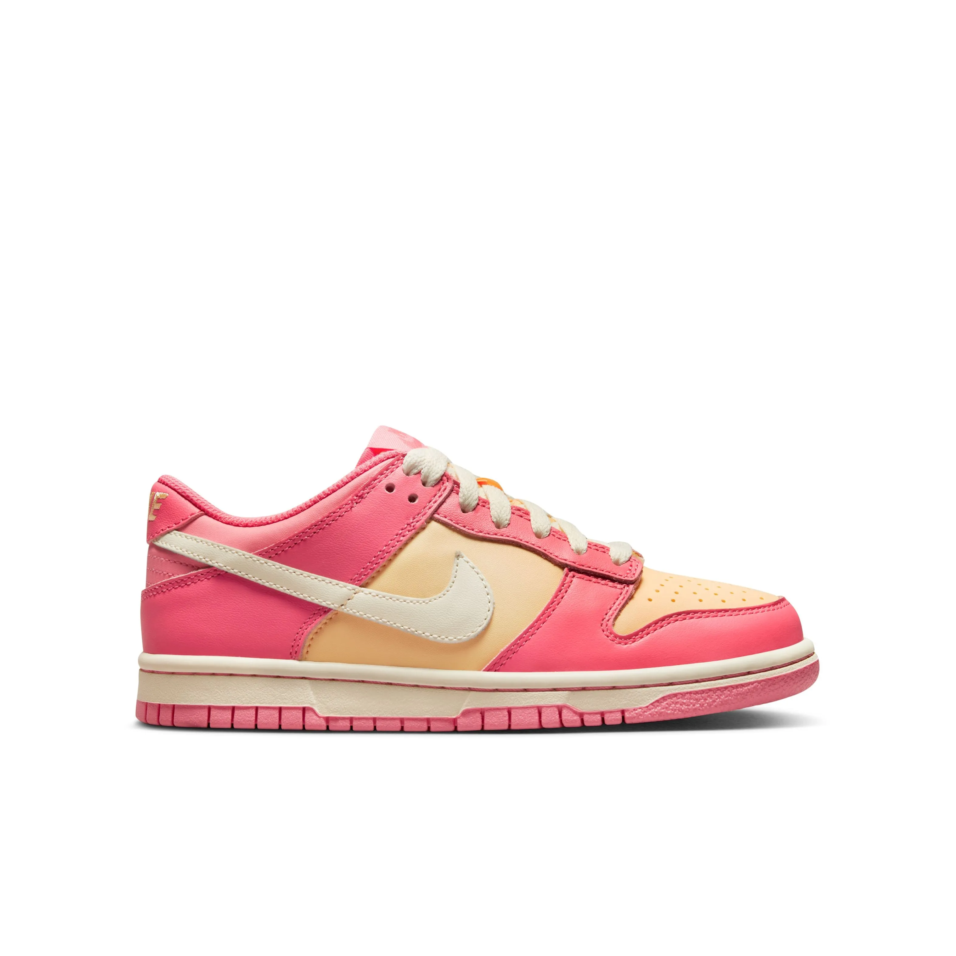 Dunk Low Lifestyle Shoes Air Touch