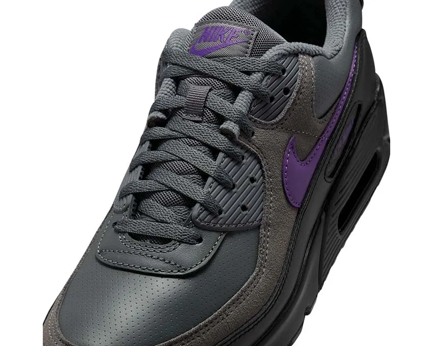 Nike Air Max 90 "Grey Grape" Cool Texture