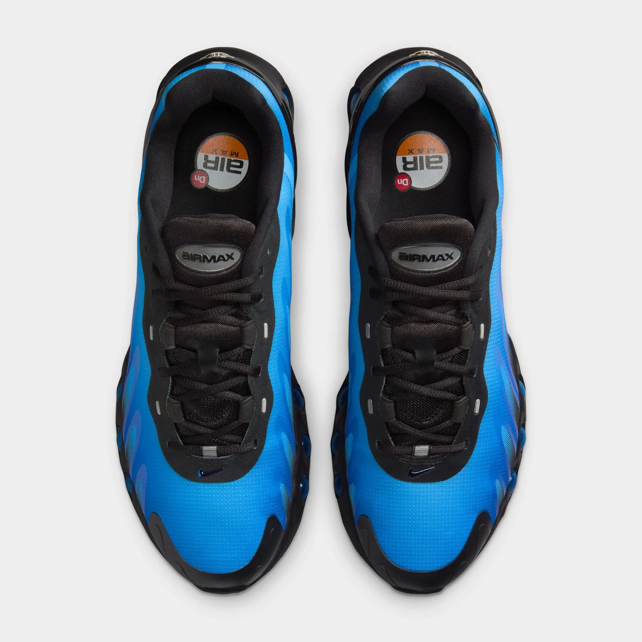 Comfort Cushion Nike Air Max DN8 Black / Hyper Royal