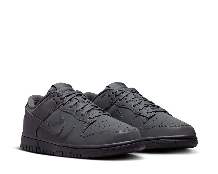 Nike Dunk Low W Modern Pace Youth Style