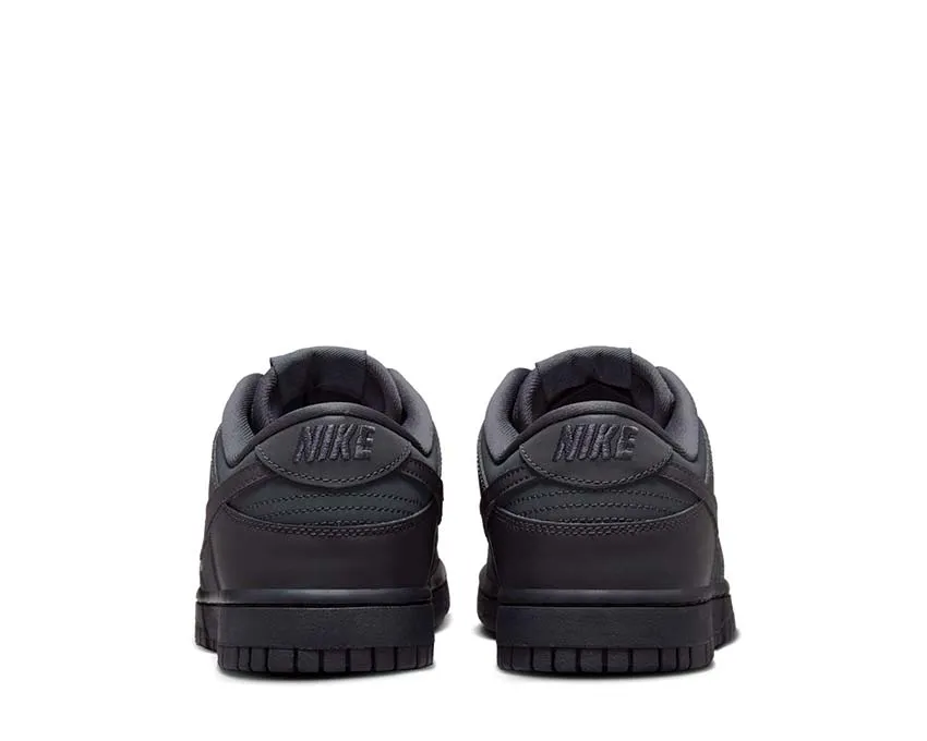 Modern Fit Sporty Nike Dunk Low W