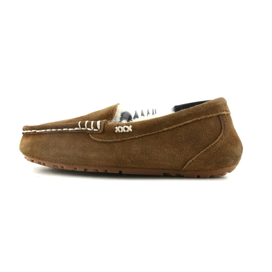 DREAM PAIRS  . Quick Step Spanish Bold