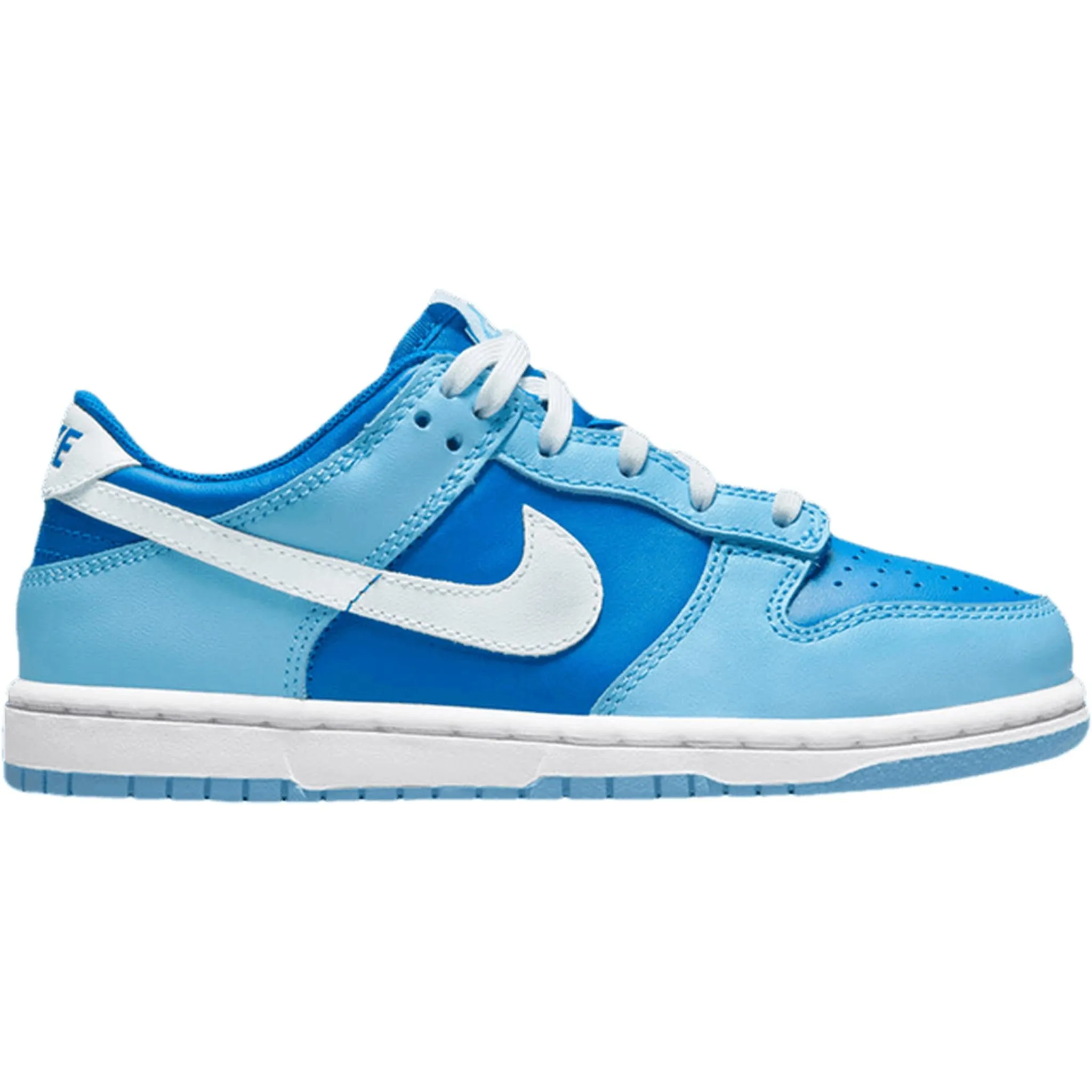 Tree Step Nike Dunk Low Argon (2022) (PS)